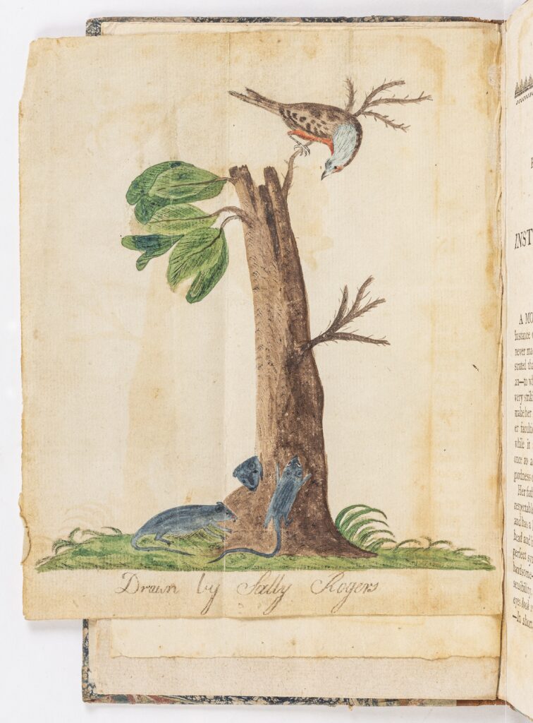 Drawing of a bird sitting on a small tree with mice attempting to crawl up the trunk with caption "Drawn by Sally Rogers"